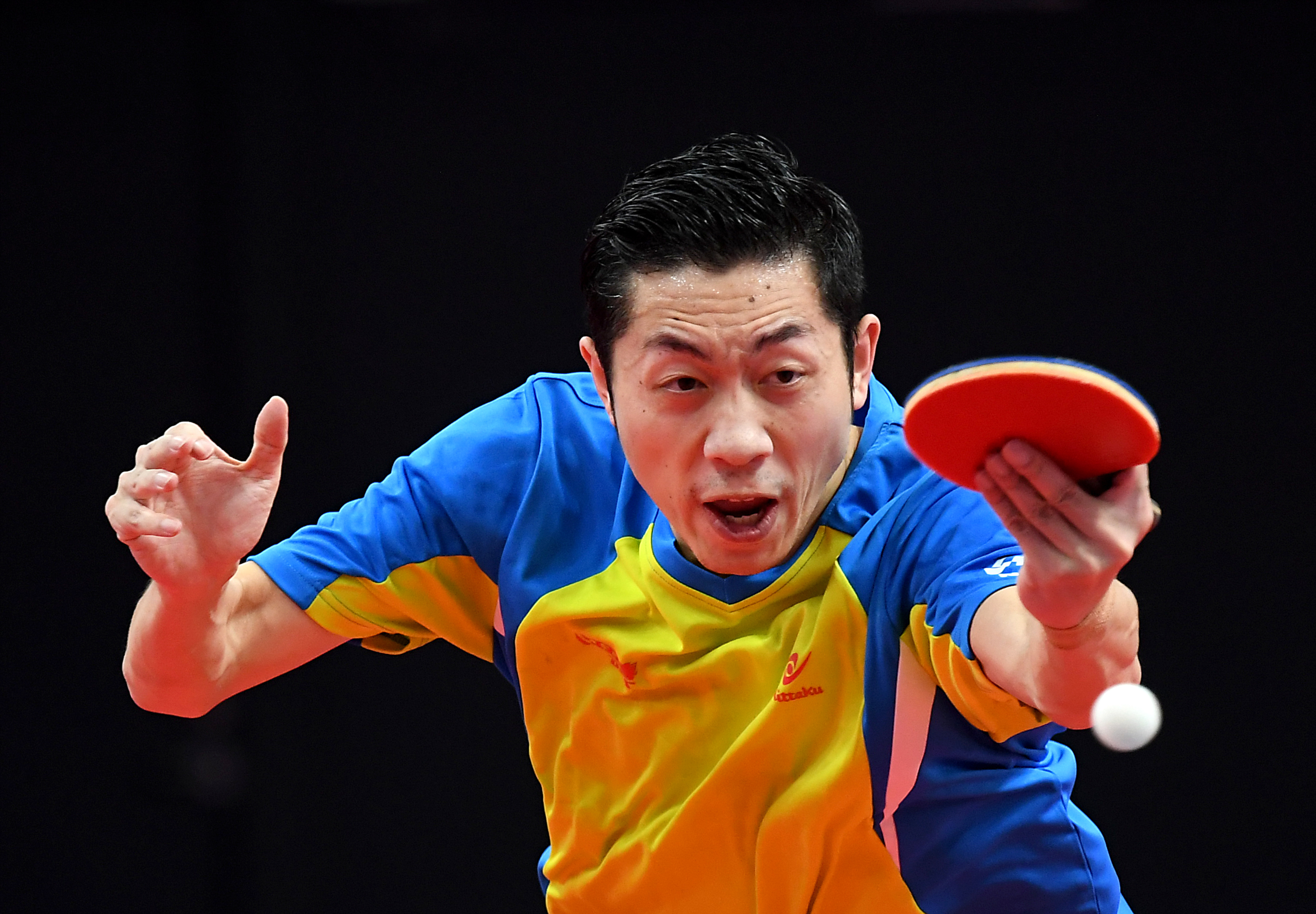 爱游戏官方-波兰乒乓球队爆冷德国乒乓球队，许昕打破历史纪录的简单介绍