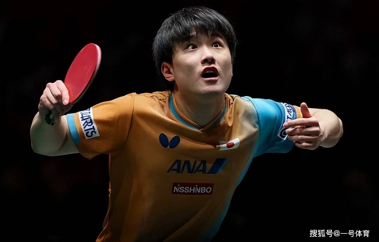 波兰队险胜法国队,张本智和关键制胜 波兰队险胜法国队,张本智和关键制胜