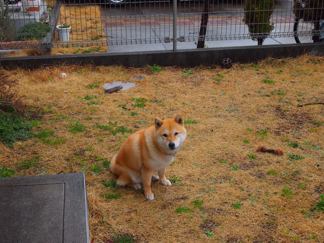 爱游戏官网-欧冠决赛今夜不设防，谁能一触球就扭转乾坤？