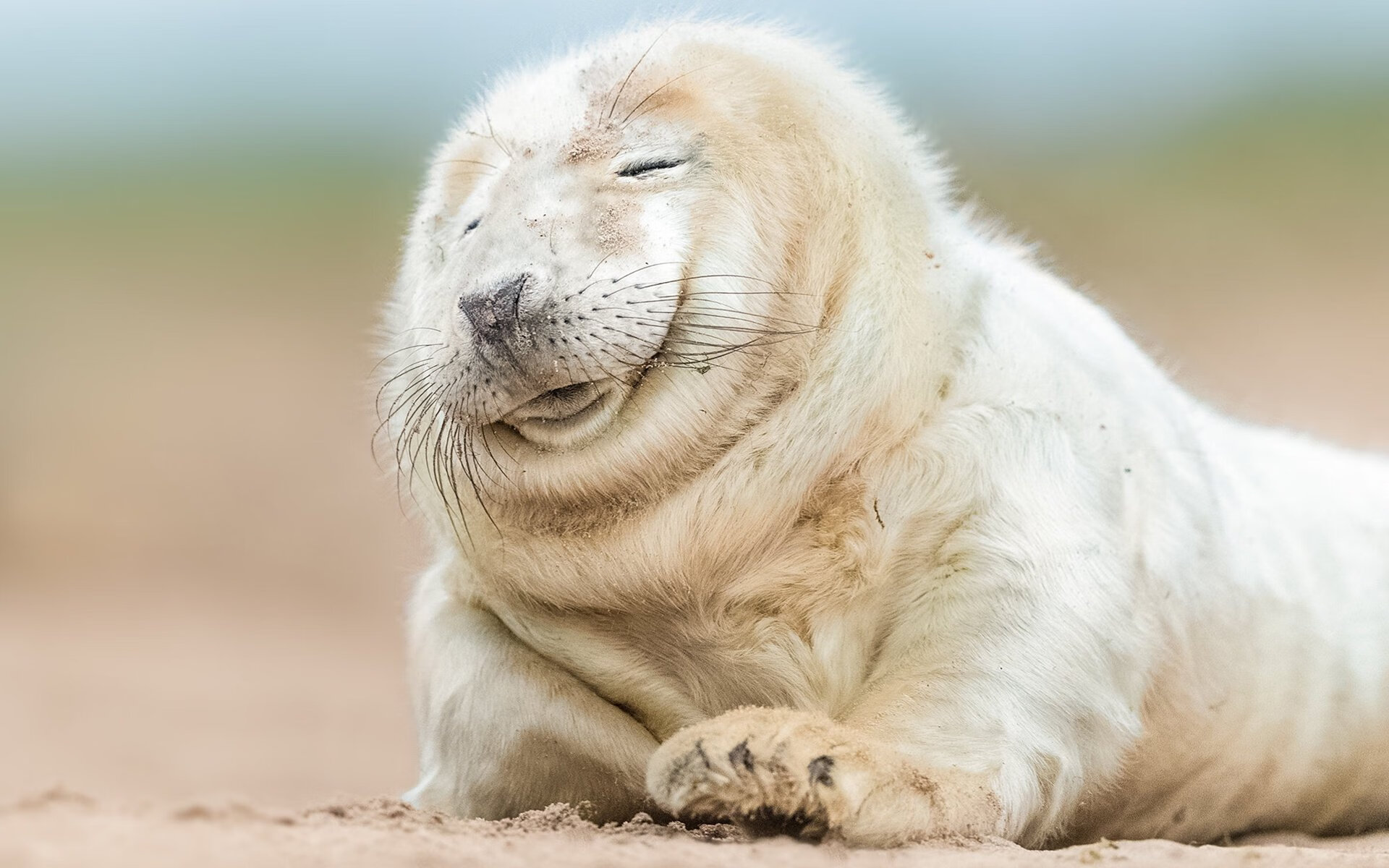 欧冠决赛今夜不设防，谁能一触球就扭转乾坤？