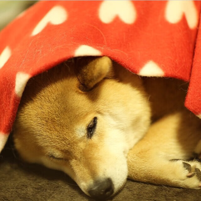 爱游戏在线-福登天神下凡！利物浦3-1力克莱比锡红牛，关键先生主宰欧冠之夜