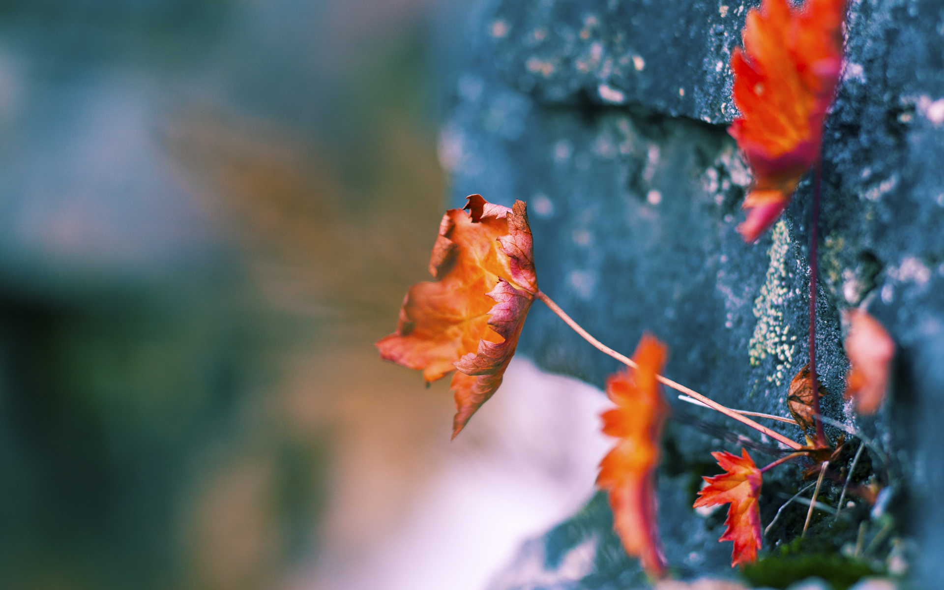 爱游戏娱乐-风暴与利刃，当利物浦的洪流遇见李刚仁的寒光