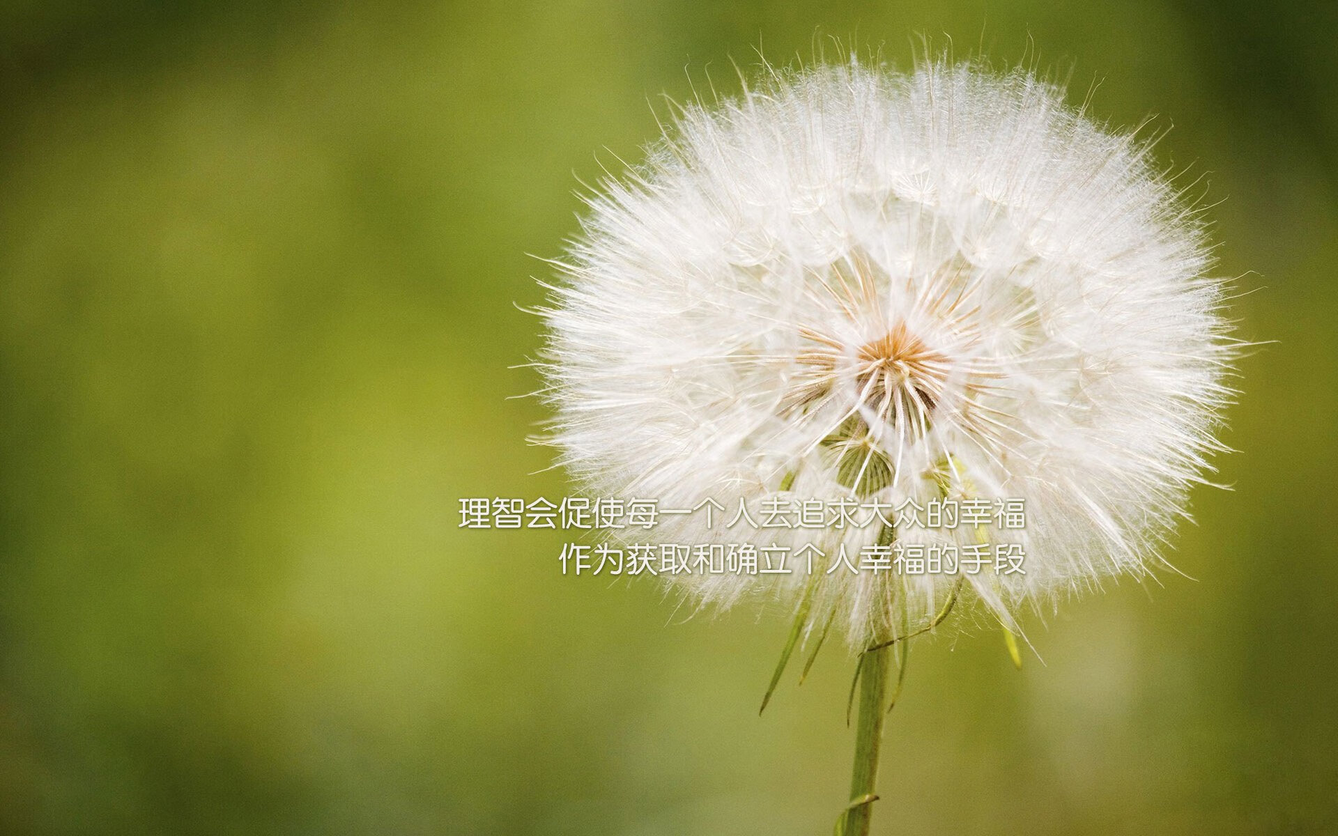 爱游戏大厅-基耶萨终场绝杀智利劲旅，皇马关键先生一战成名