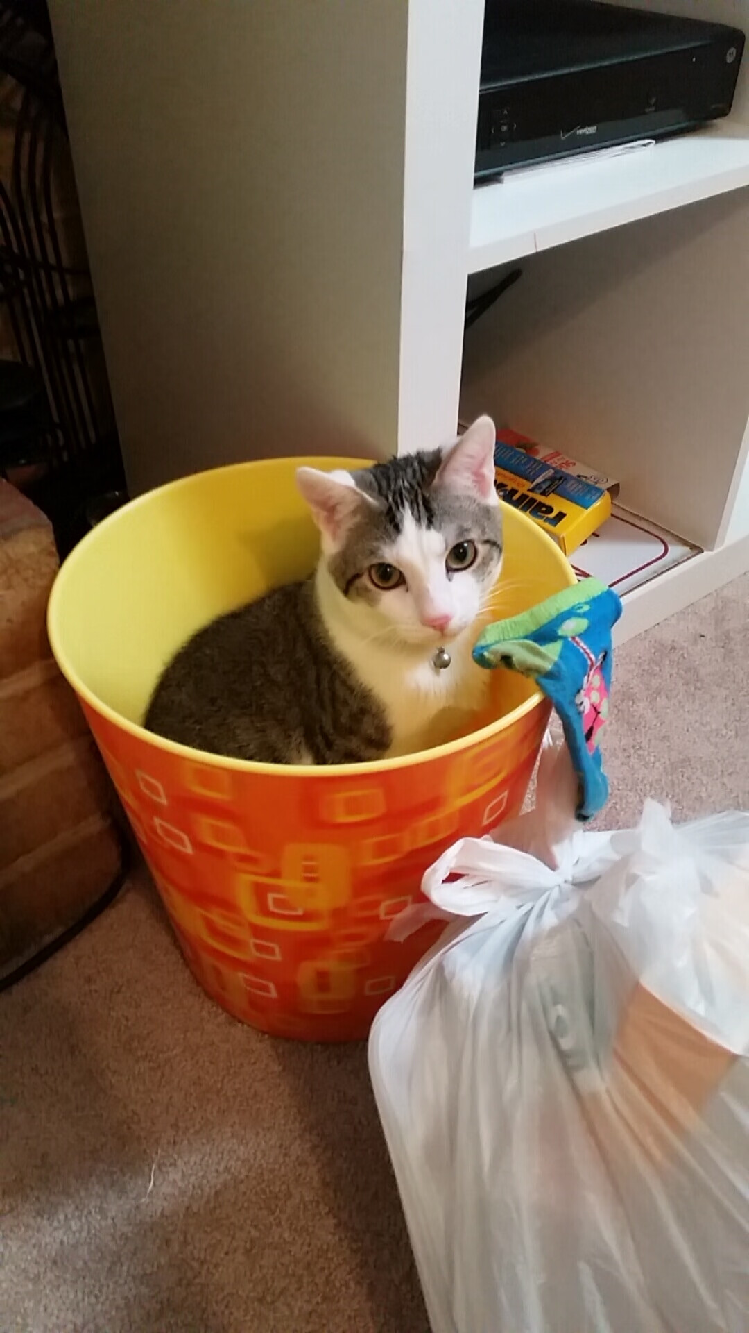 爱游戏-莫兰特50+三双加时封神 浙江压哨三分绝杀广厦 篮球之夜见证双重奇迹