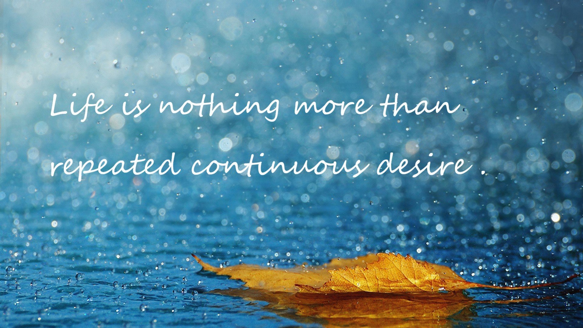 爱游戏在线-黑暗骑士的黎明，2026世界杯之夜，马克西于冰雨中贡献制胜表现