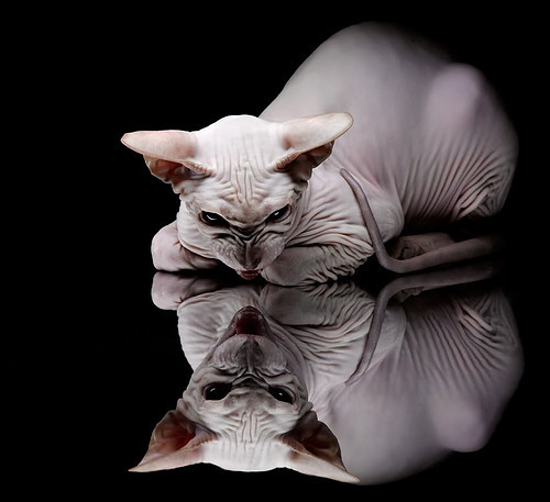 爱游戏官方-莫兰特关键先生风采尽显，丹佛掘金友谊赛轻取北京首钢队