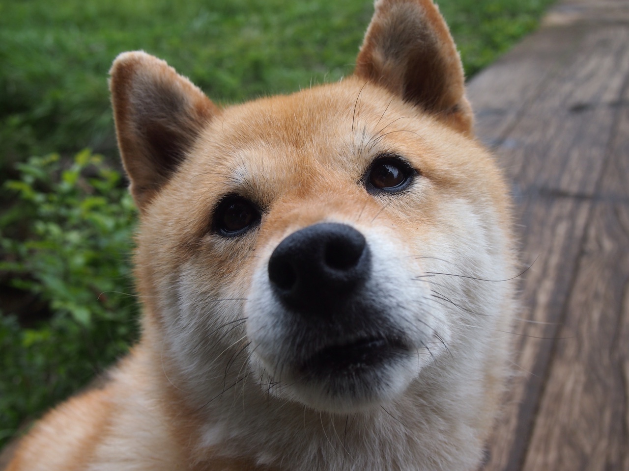 从NBA殿堂到战火废墟，背水一战的共通灵魂