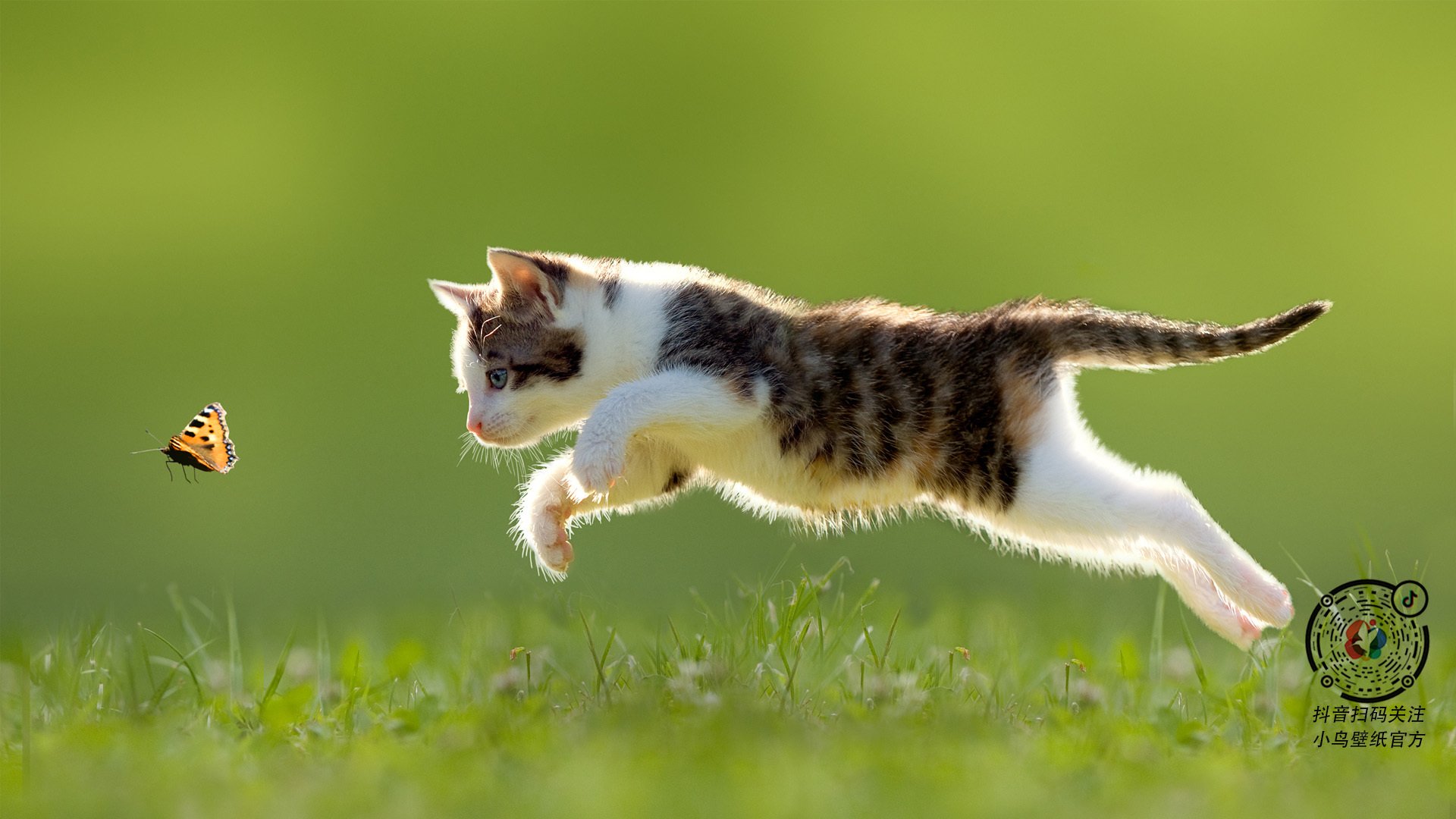 世界排名争夺战白热化,广东队加时险胜深圳队,焦点战引爆全球篮球界