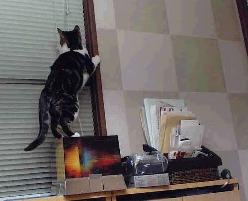 爱游戏娱乐-人生赛场，公牛淘汰热火的孤独舞蹈，库里书写唯一的璀璨传奇