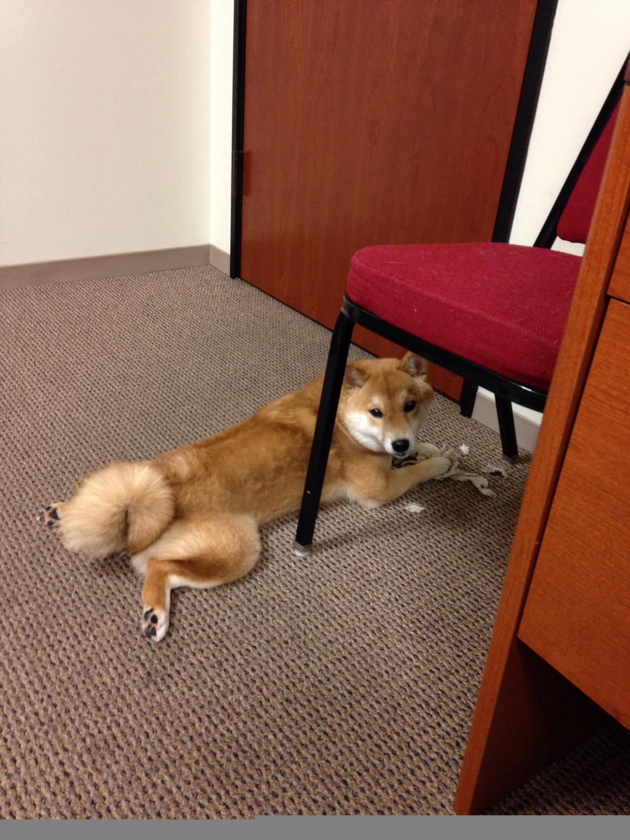 防线崩解时刻，当内外双核掀起篮球哲学的对决风暴