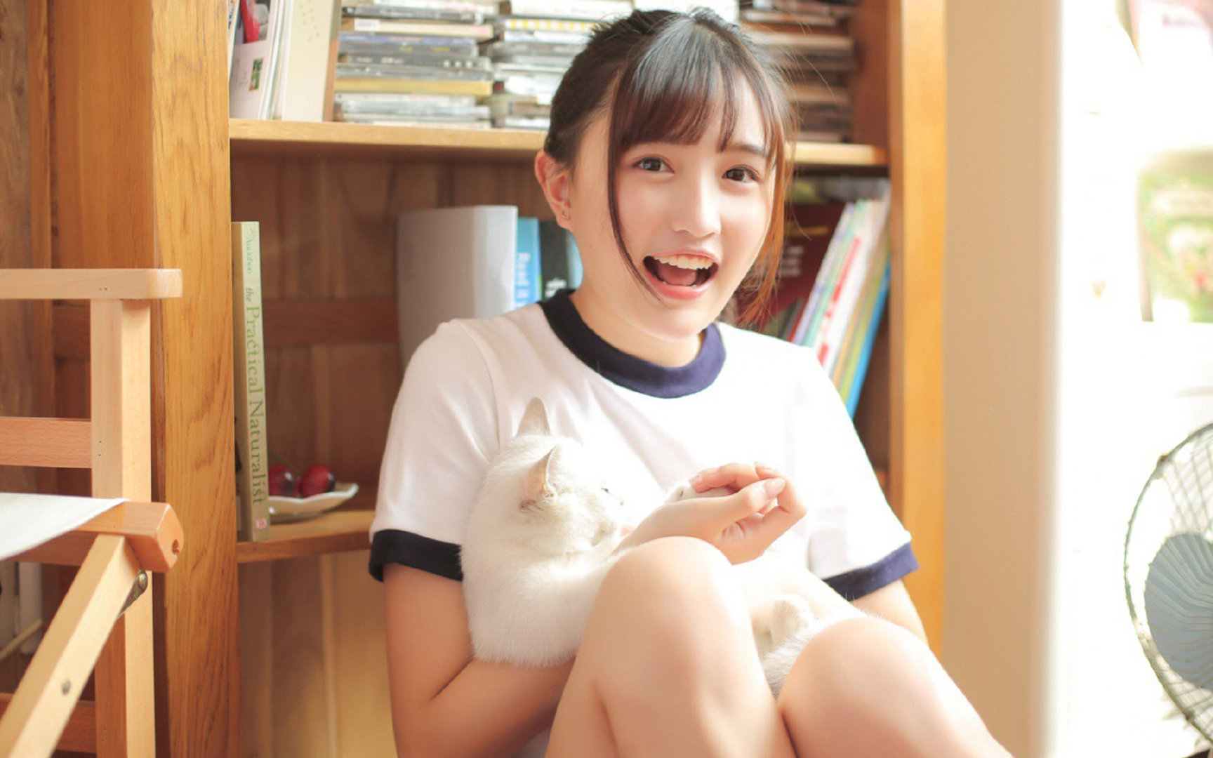 双城记,太阳的疆场压制与克莱的欧冠接管