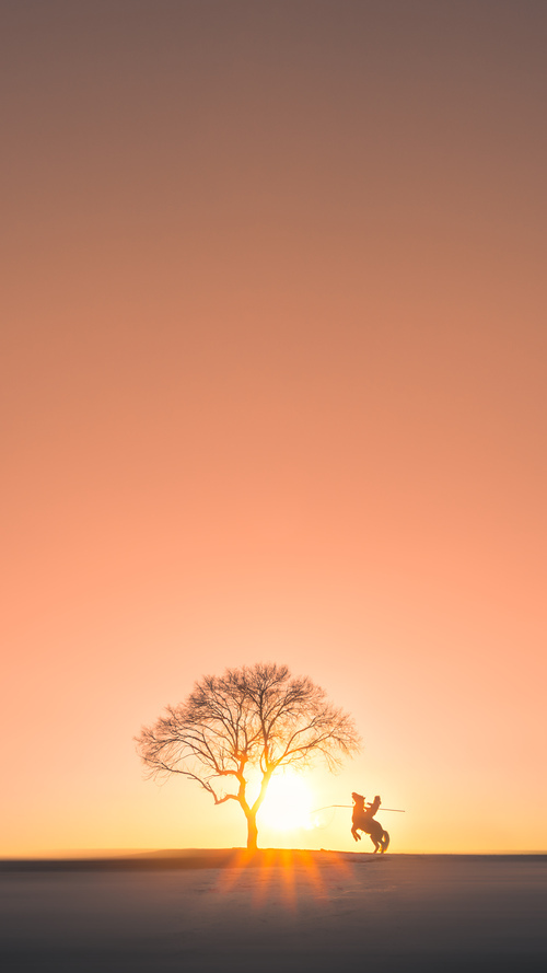 问鼎之战，文班亚马化身关键先生，鹈鹕稳稳拿下骑士