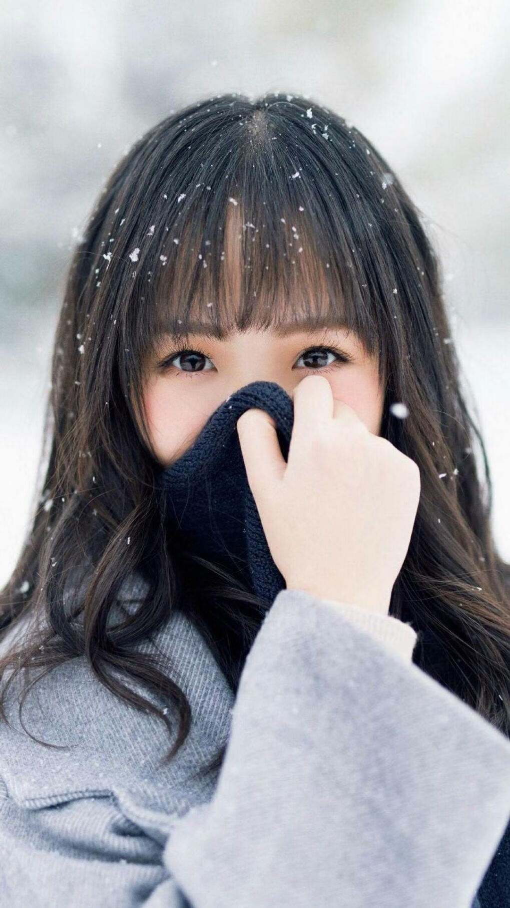 建议